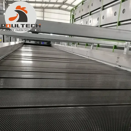 Fowl Dung Drying Machine for Broiler Farm