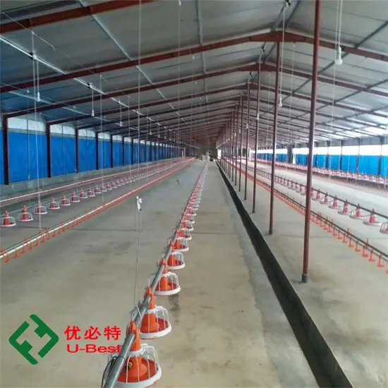 Automatic Poultry House Equipment for Chicken Broiler Coop