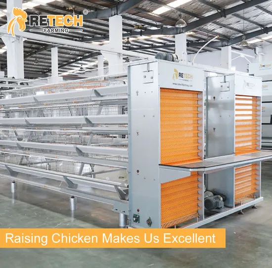 A Type farming chicken battery cage poultry layers farms equipment