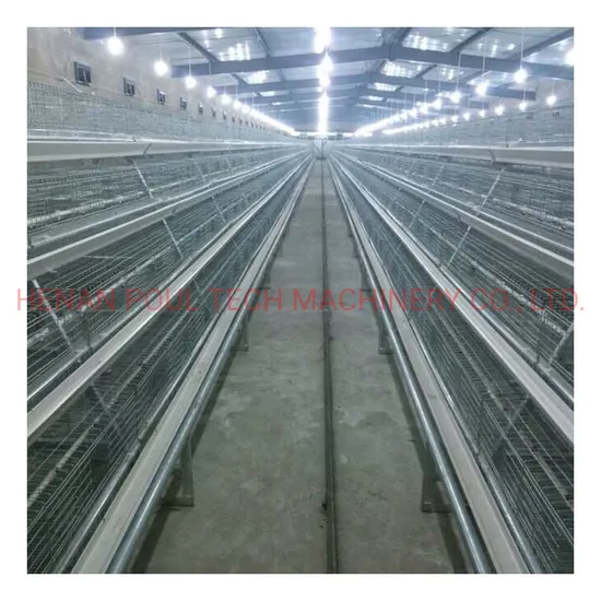 3/4/5/6/7/8/9 Tiers H Type Battery Chicken Layer Cages in Sale