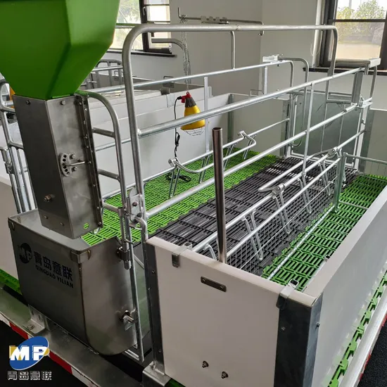 Premium Farrowing Crate Design for Successful Pig Farming Equipment
