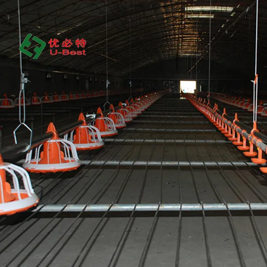 High Quality Chicken Coop Farming Poultry Equipment Drinkers and Feeders System