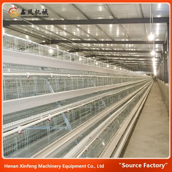Wholesale High Quality Digital Chicken Cage a Type Best Price Poultry Farm Egg Layer Cage Chicken Battery Cage