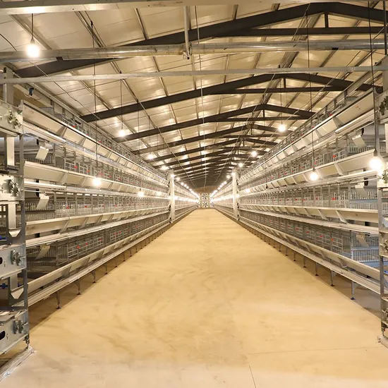 Custom Chicken Farm Galvanized Steel Wire Layer Breeding Equipment Livestock Equipment with Automatic Feeding System
