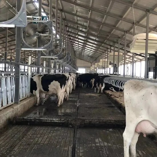 Cow Manure Scraper with Three-Axis Corner Wheels for Quick Cleaning
