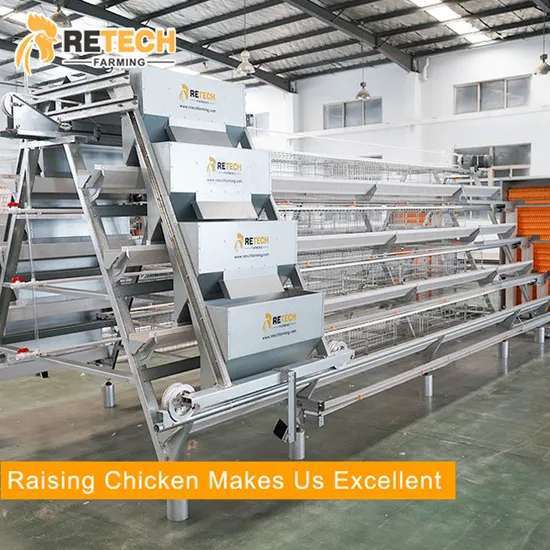 Easy Operation Automatic Poultry Farms Chicken Layer Battery cage