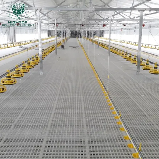 China Supply Customizable Fully Automatic Broiler Floor Raising System For Broilers