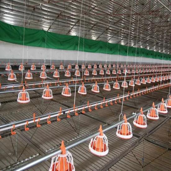 Full Set Feeding and Nipple Drinking Equipments for Broiler