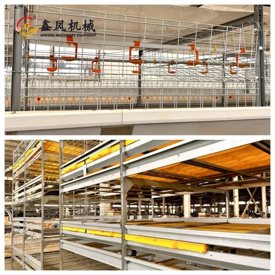 Poultry Farming Equipment Cage H Type 4 Tiers Broiler Chicken Cages