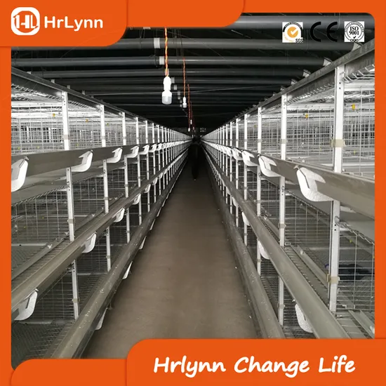 Hot Selling African Chicken Cages
