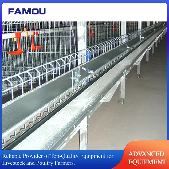 Complete Poultry Equipment Supplier for High-Quality Layer Cage Systems
