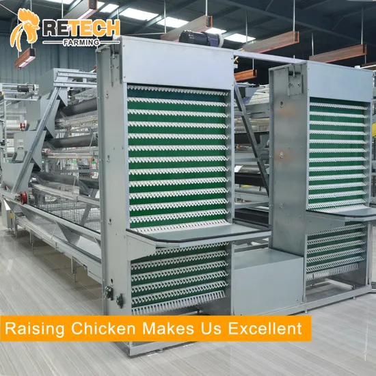 Hot Galvanized Steel Automatic A type Poultry Farm Layer Chicken Cage for 5000 chickens