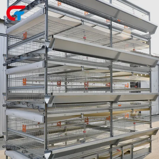 Automatic Feeding Poultry Farm Equipment Chicken Cage System