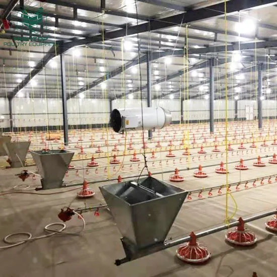 Automatic Farm Equipment For Chicken Poultry Broiler House Floor Ground Pan Feeding System And Water Line