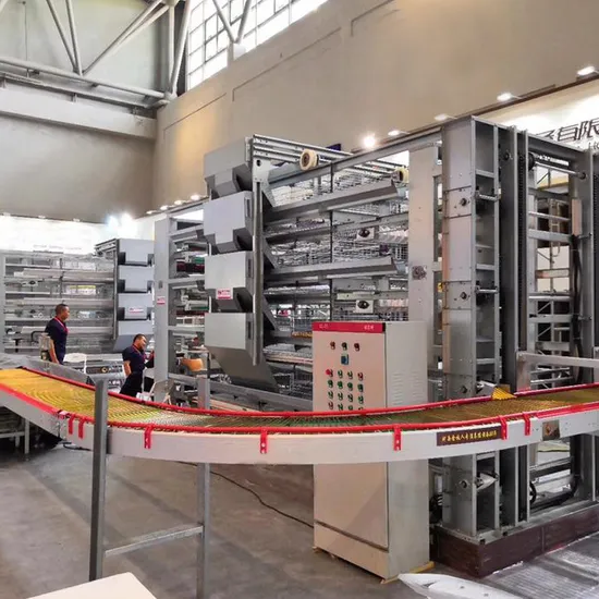 Full Automatic H Type Poultry Farm Layer Chicken Cages