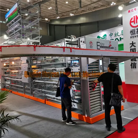 Ghana Hot-Sell Galvanized Layer Egg Chicken Farm Equipment Machine