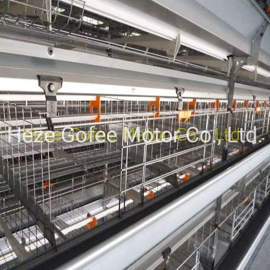 Farm Feeding System H Type Automatic 4 Tiers Duck Quails Animal Husbandry Equipment Chicken Poultry Cage