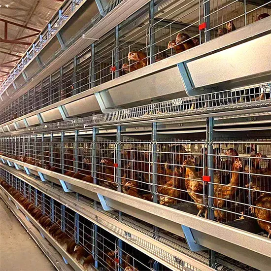 Livestock Equipment Livestock Machinery Poultry Breeding Machinery Layer Chicken Cage