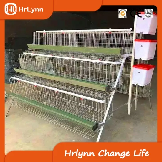 Specially Exported African Layer Chicken Cage Is Easy to Install