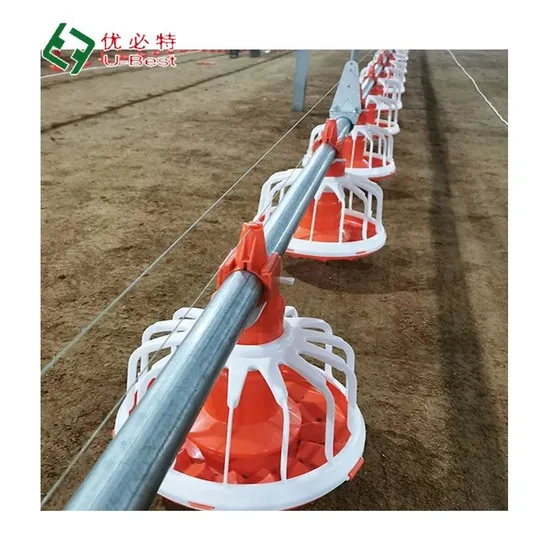 Automatic Poultry Farm Equipment Chicken Feeders and Drinkes Machinery