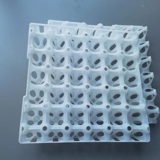 Lightweight Plastic Egg Trays Designed for Transportation and Incubation