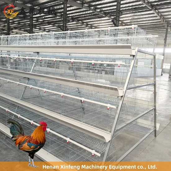 Hot Sale High Quality Automatic Poultry Farm Equipment a Type Layer Cage