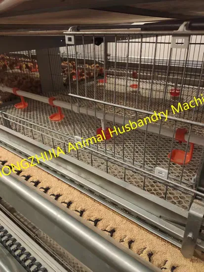 Type H Poultry Equipment Farming Battery Automatic Egg Layer Chicken Cage System for Zimbabwe