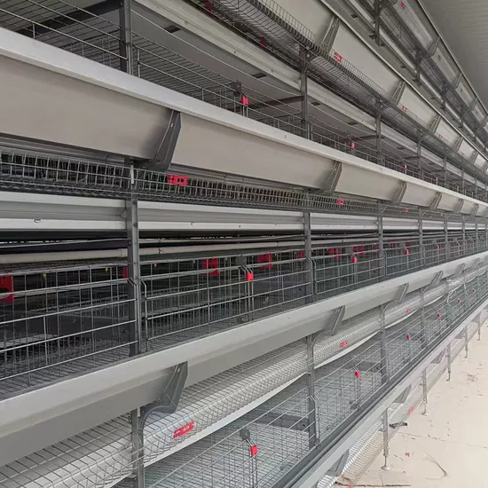 Hot-DIP Galvanized Material H Type Poultry Equipment Chicken Cage with Automatic Temperature Control System