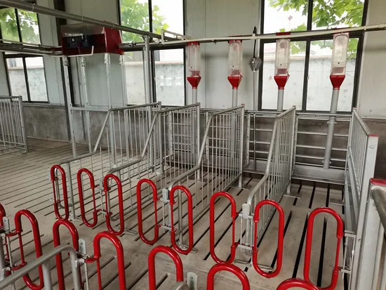 Pig Farming Equipment Pig Crate Gestation Crate-We Do OEM