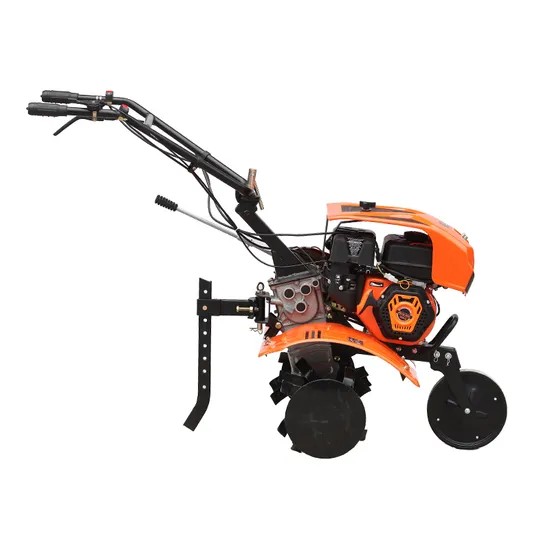 BS220X Engine 3.6L Fuel Tank Aerobs Wooden Box Packaging Tillers Weeding Machine