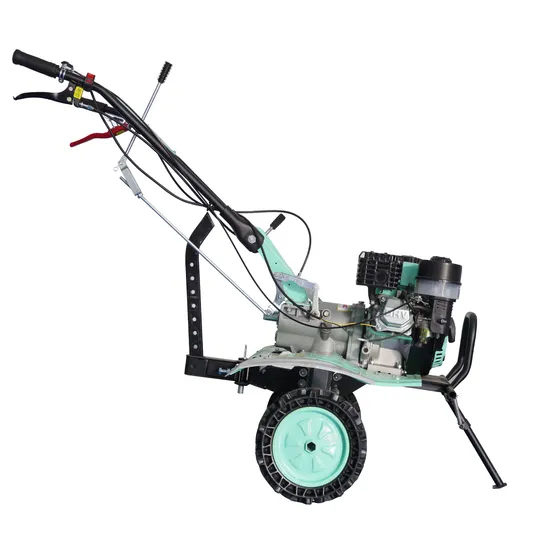 Green Mini Petrol Tiller for Cultivated Land with 2+1+1 Blade