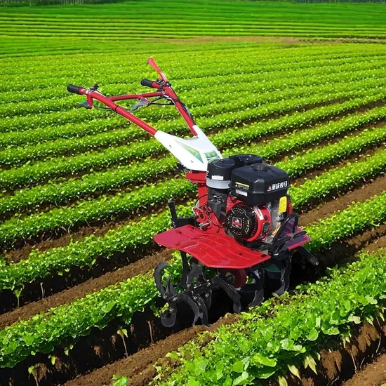 China Factory Garden/Farm 2WD Walking Tractor Mini Small Rotary Tiller with 7.5HP Gasoline Engine Cultivador De Energ&iacute; a