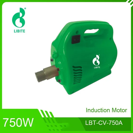 Concrete Vibrator 220~V Libite Cordless