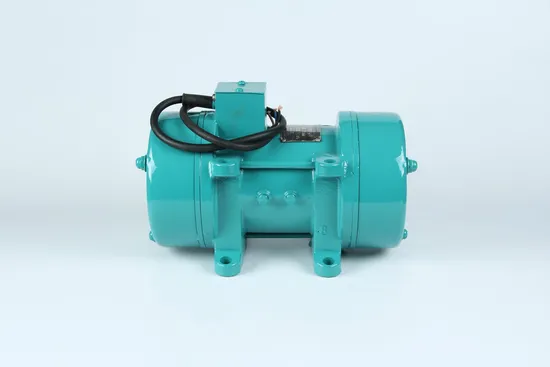 CE Electric Handheld Mini Portable Concrete Vibrator 110V 800W 60A Handy Insertion Vibrator