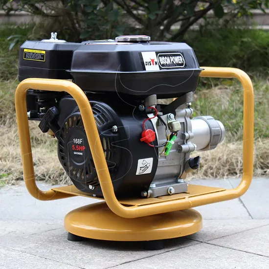 Factory Price Bison Gasoline Engine 5HP Mini Poker Concrete Vibrator