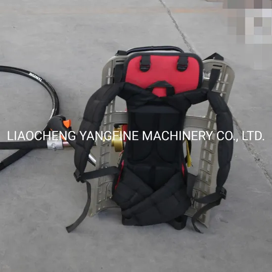 Backpack Concrete Vibrator with Gasoline Engine Gx35
