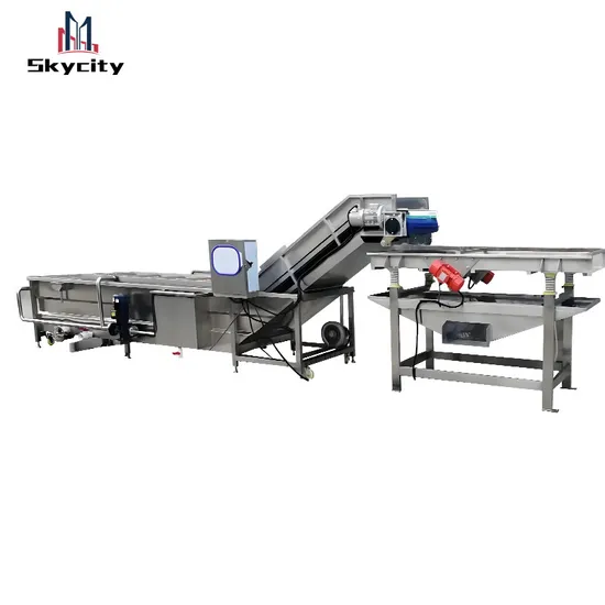 Fruit and Vegetable Air Bubble Washing Cleaning Machine for Food Processing Industry
