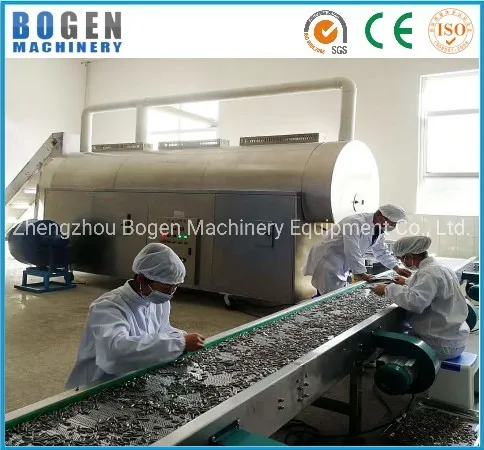 Big Capacity 1000kg/H Continuous Electric/Gas Heating Nuts Roaster Continuous Cashew Roaster