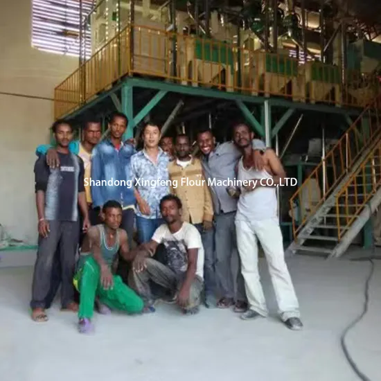 120-150t Corn Mill Maize Flour Milling Machine in Africa