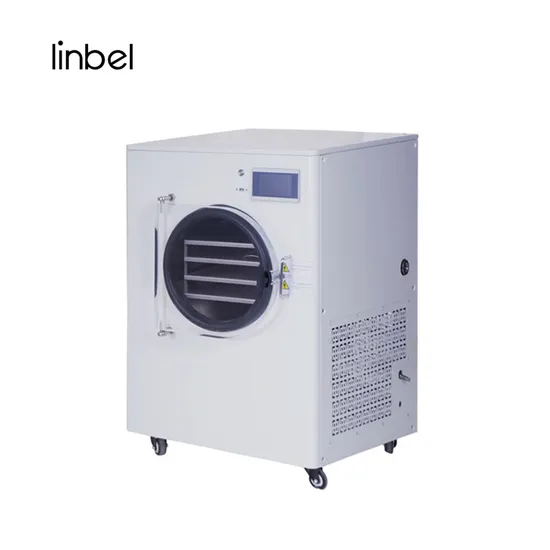 Home Lyophilization Homemade Food Freeze Dryer Household Vacuum Pump Freeze Dryer