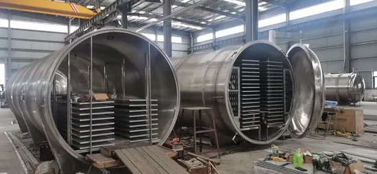 Jdg-100 Vegetable Vacuum Freeze Dryer-Focus on All Kinds of Freeze Drying
