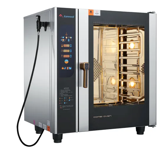 Microcomputer Panel 6 Trays 1/1 Gn Electric Combination Oven Combi-0ven