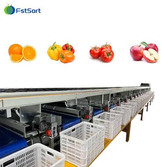 Onion Sorting Machine Efficient Citrus Fruit Handling and Packaging Fruit Post-Harvest Processing Technology