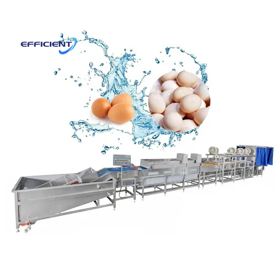 Automatic Egg Washing Equipment Egg Cleaning Machine Line