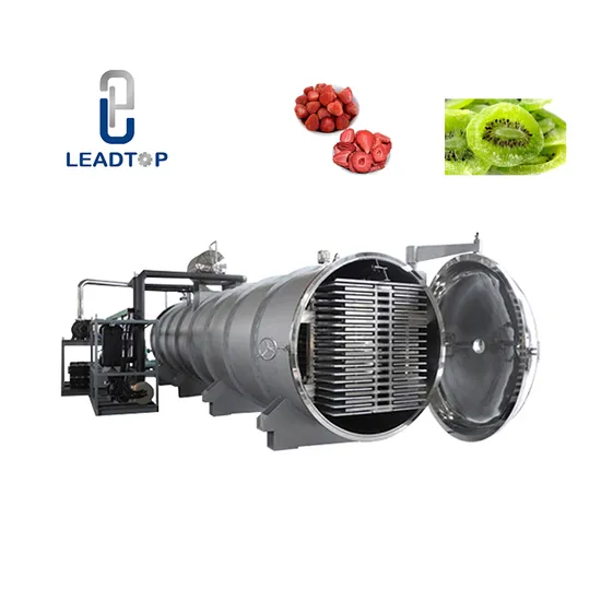 High Quality Vegetables Fruit Food Lyophilizer Dog Treat Cat Food Vacuum Freeze Dryer Drying Machine