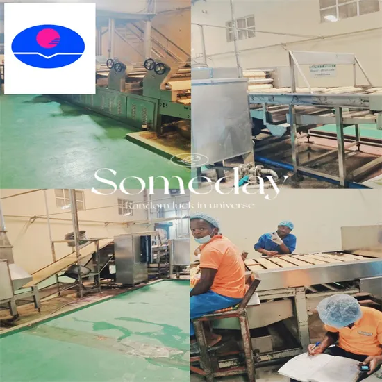 Factory CE ISO Supply Indomie vacuum Mixer Noodle Production Line Equipment