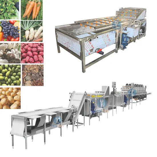 Automatical Fruit Washing Machine Vegetable Bubble Washer Vegetable Washing Machine