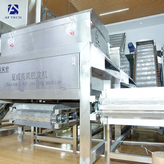 3 Ton Green Hawaiian Fruit Screening Peeling Cleaning Elevator Processing Line