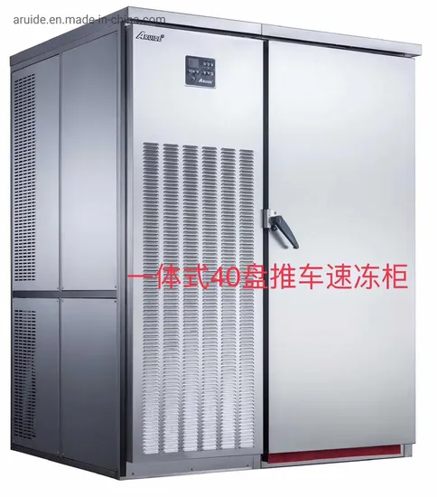 Non Installation 40 Trays -40 Degree Blast Freezer Deep Chiller Cold Room Kitchen Fridge Refrigerator Commercial Island Low Temperature (T40-D)
