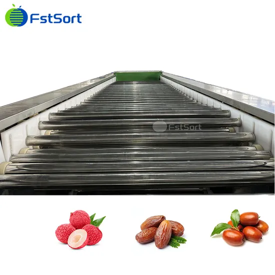 China Fruit Sorter Grader Cherry Tomatoes/Lychee/Dates/Jujubes Sorting Grading Packing Machine